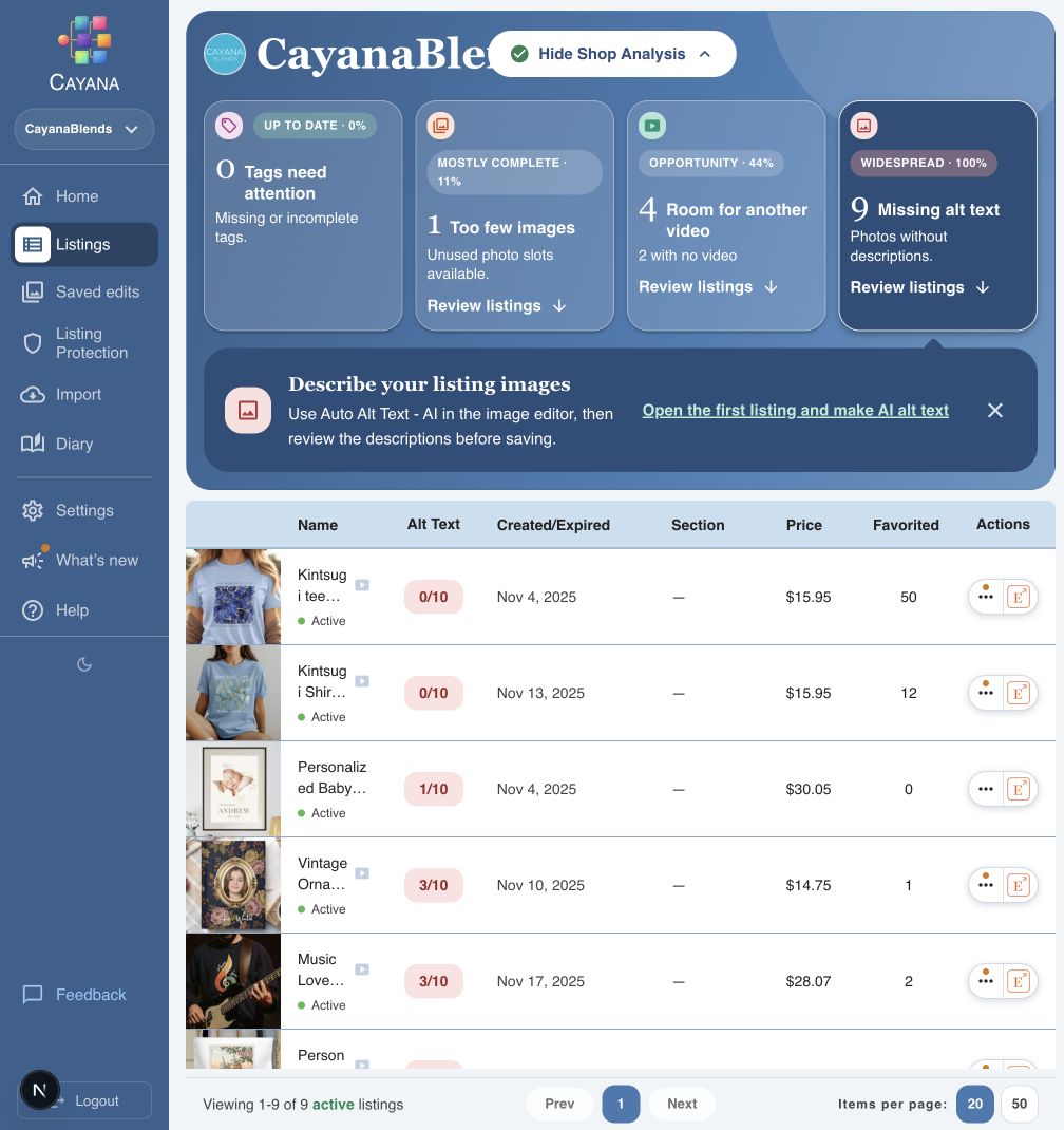 Shop analysis findings with missing alt text selected and affected listings below